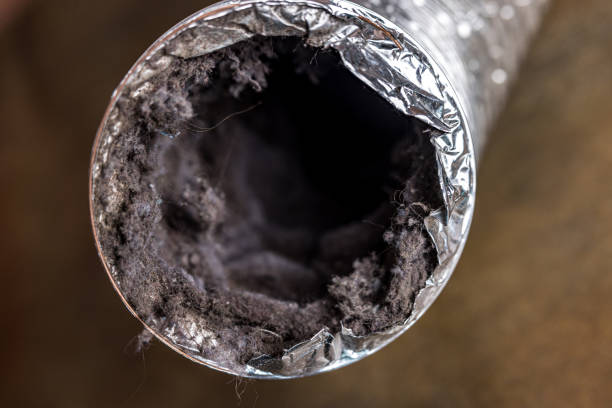 Best Duct Cleaning for Homes  in Key Vista, FL